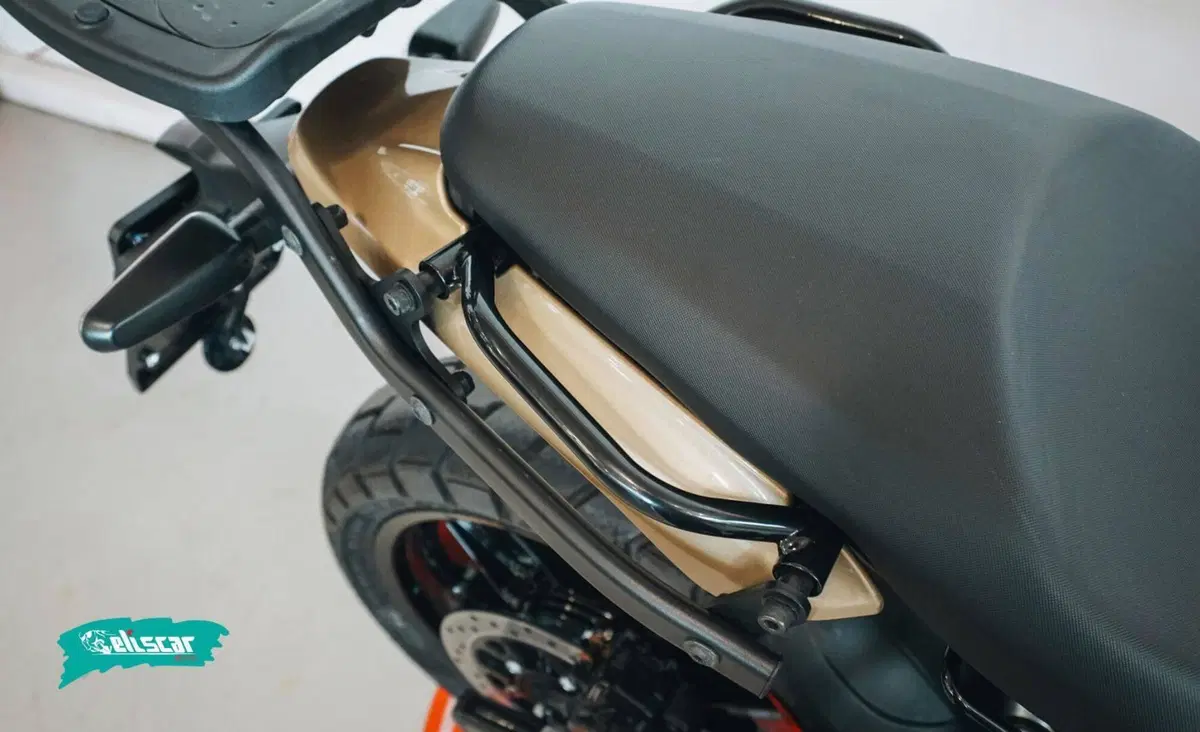 Royal Enfield Guerrilla 450 (2024 - 26) (12)