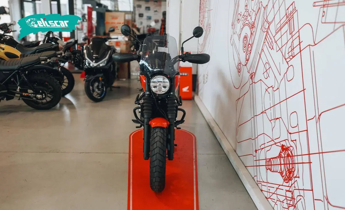 Royal Enfield Guerrilla 450 (2024 - 26) (3)
