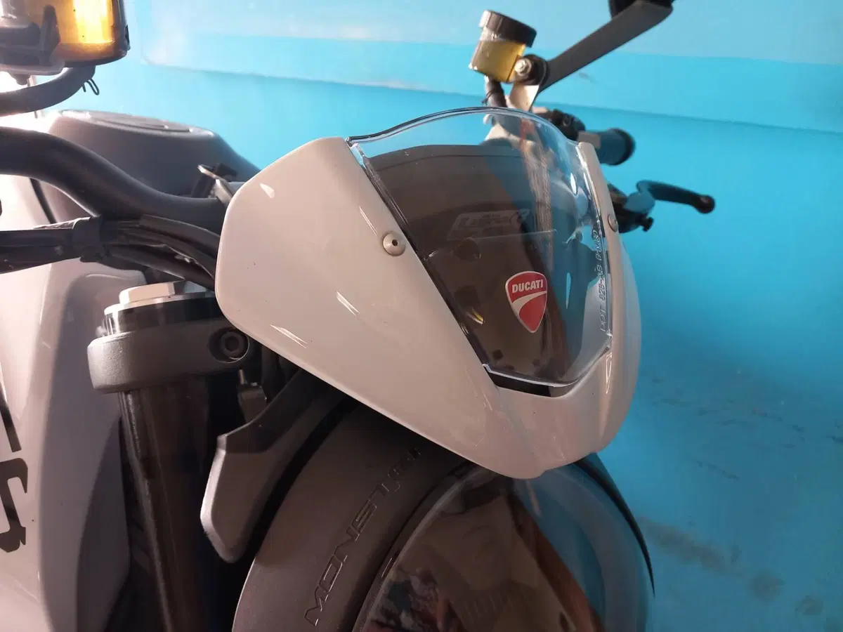 Ducati Monster 937 + (2021 - 25) (18)