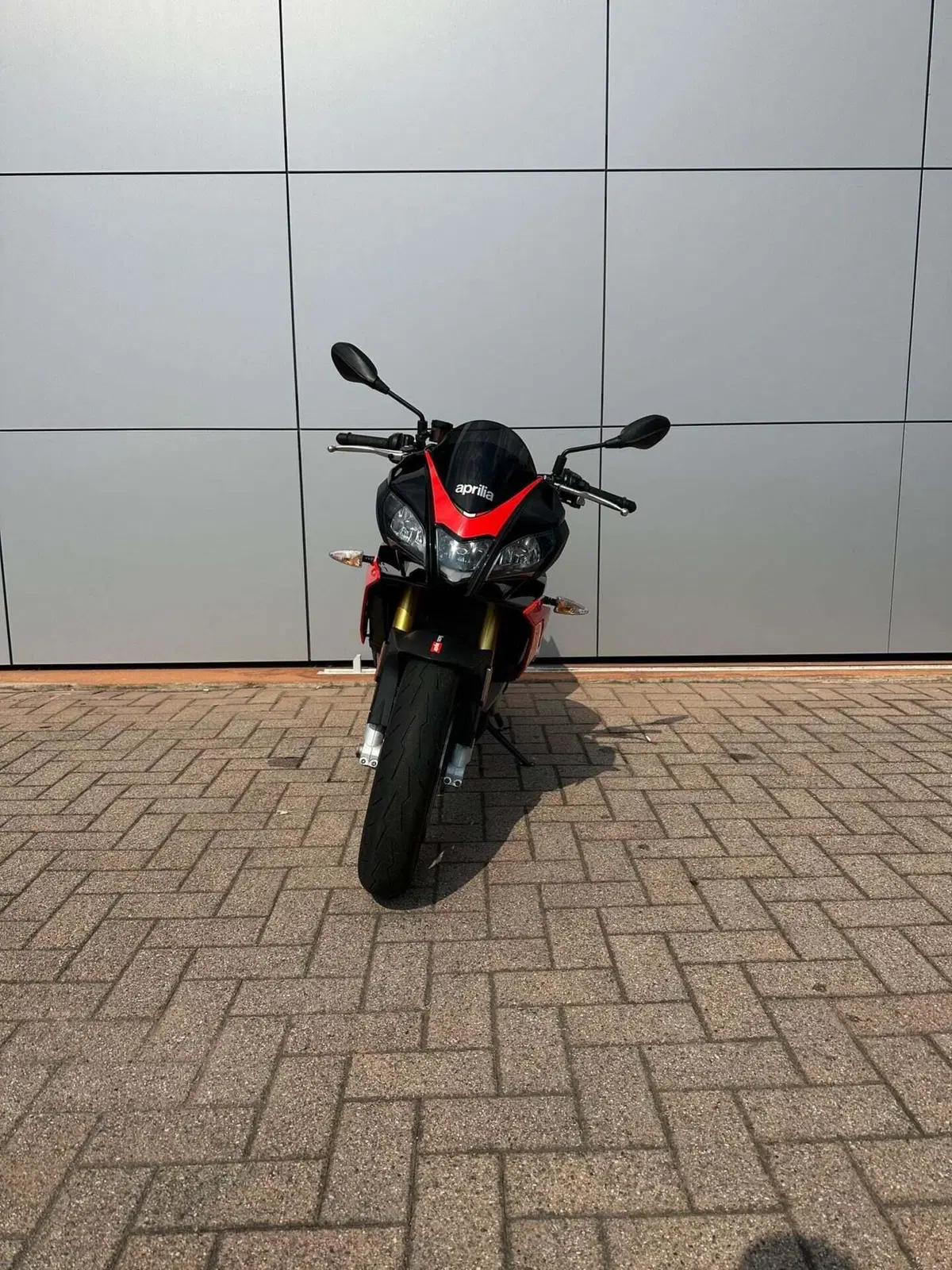 Aprilia Tuono V4 RR (2019 - 20) (3)