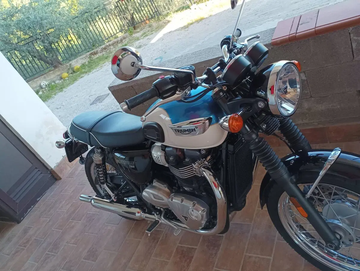 Triumph Bonneville T100 (2017 - 20) (3)