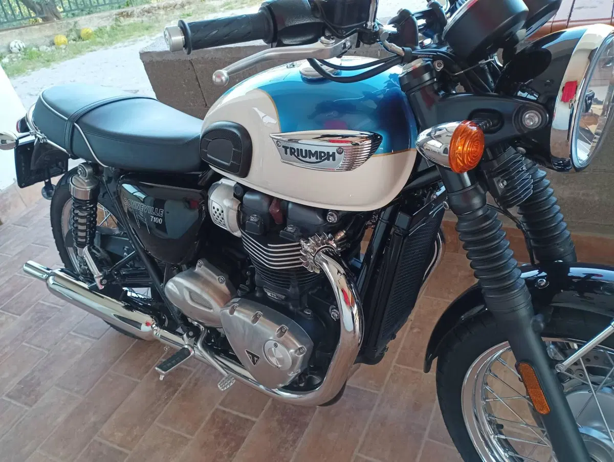 Triumph Bonneville T100 (2017 - 20) (4)