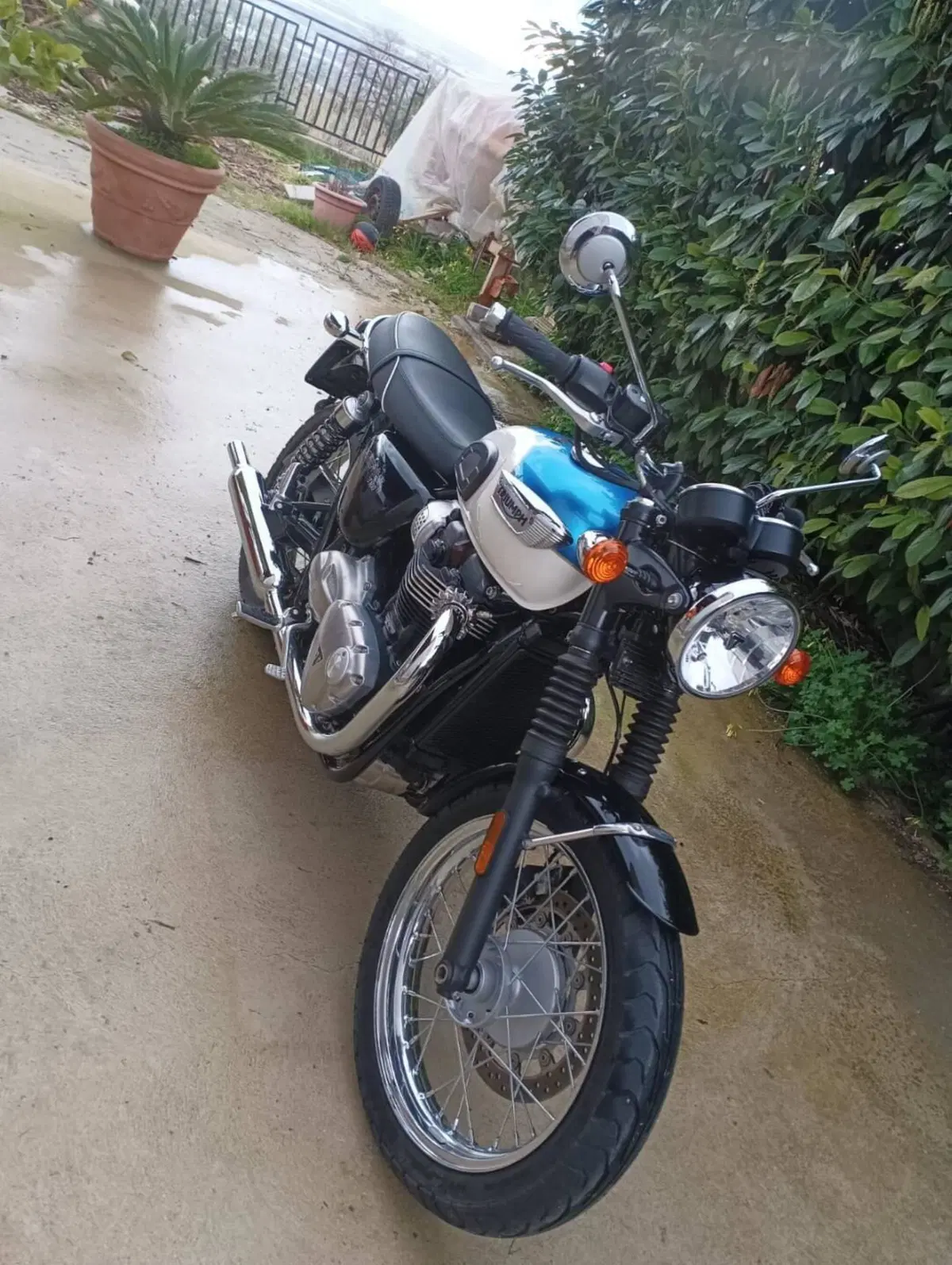 Triumph Bonneville T100 (2017 - 20) (5)