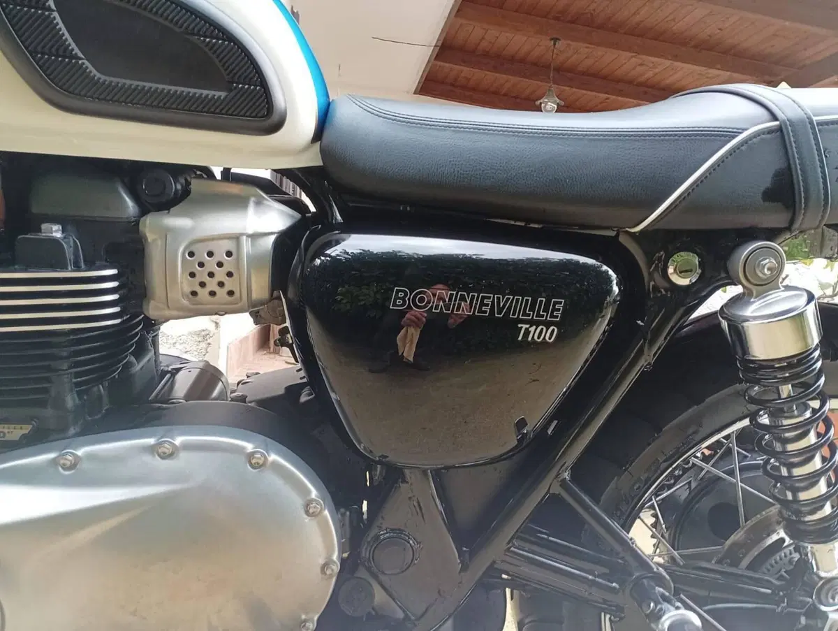 Triumph Bonneville T100 (2017 - 20) (6)