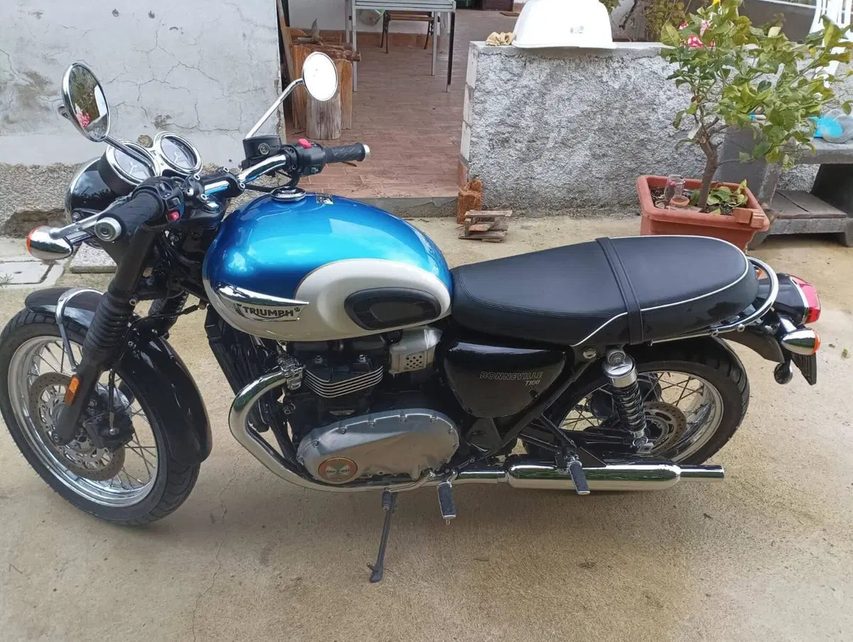 Triumph Bonneville T100 (2017 - 20) (7)