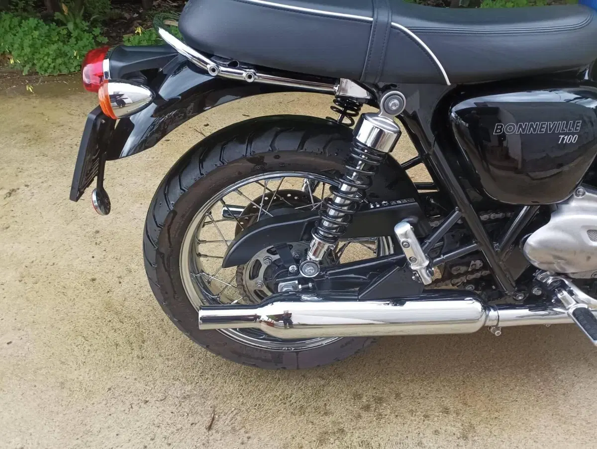 Triumph Bonneville T100 (2017 - 20) (8)