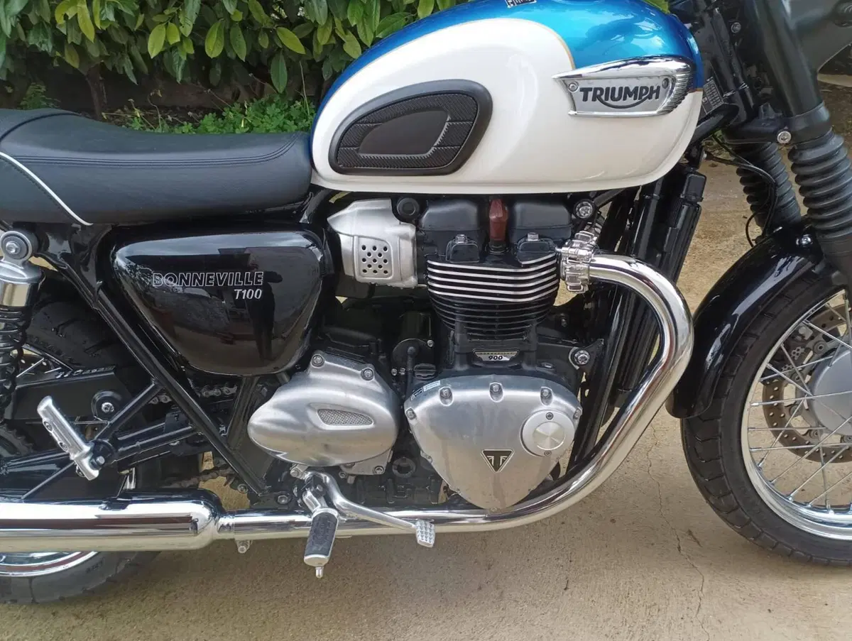Triumph Bonneville T100 (2017 - 20) (9)