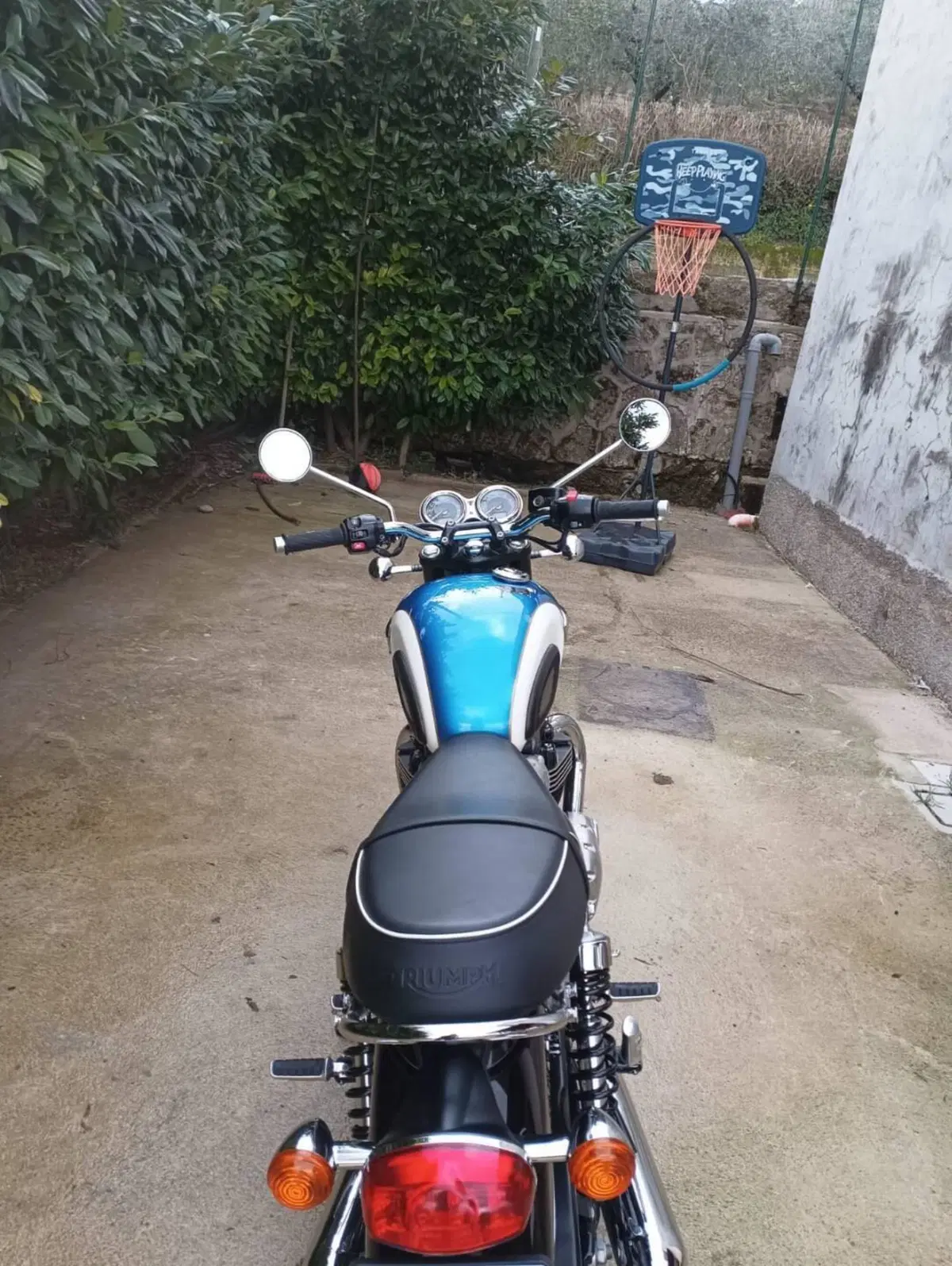 Triumph Bonneville T100 (2017 - 20) (10)