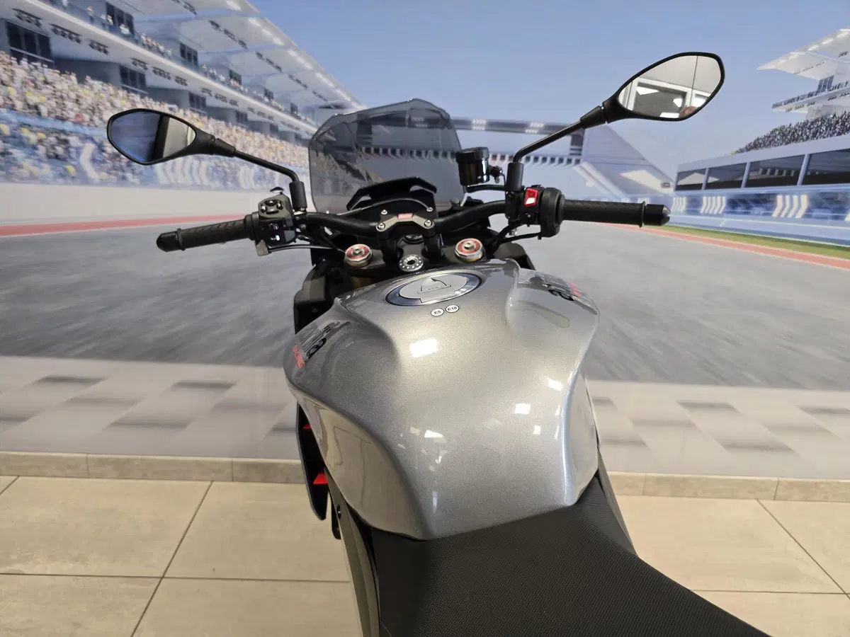 Aprilia Tuono V4 (2021 - 24) (20)