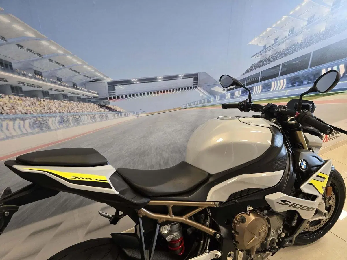 Bmw S 1000 R (2021 - 24) (20)