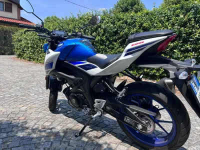 Suzuki GSX-S125 (2025 - 26) usata