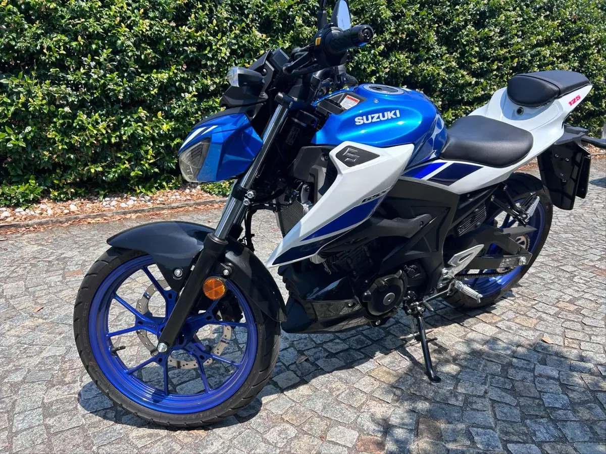 Suzuki GSX-S125 (2025 - 26) (3)