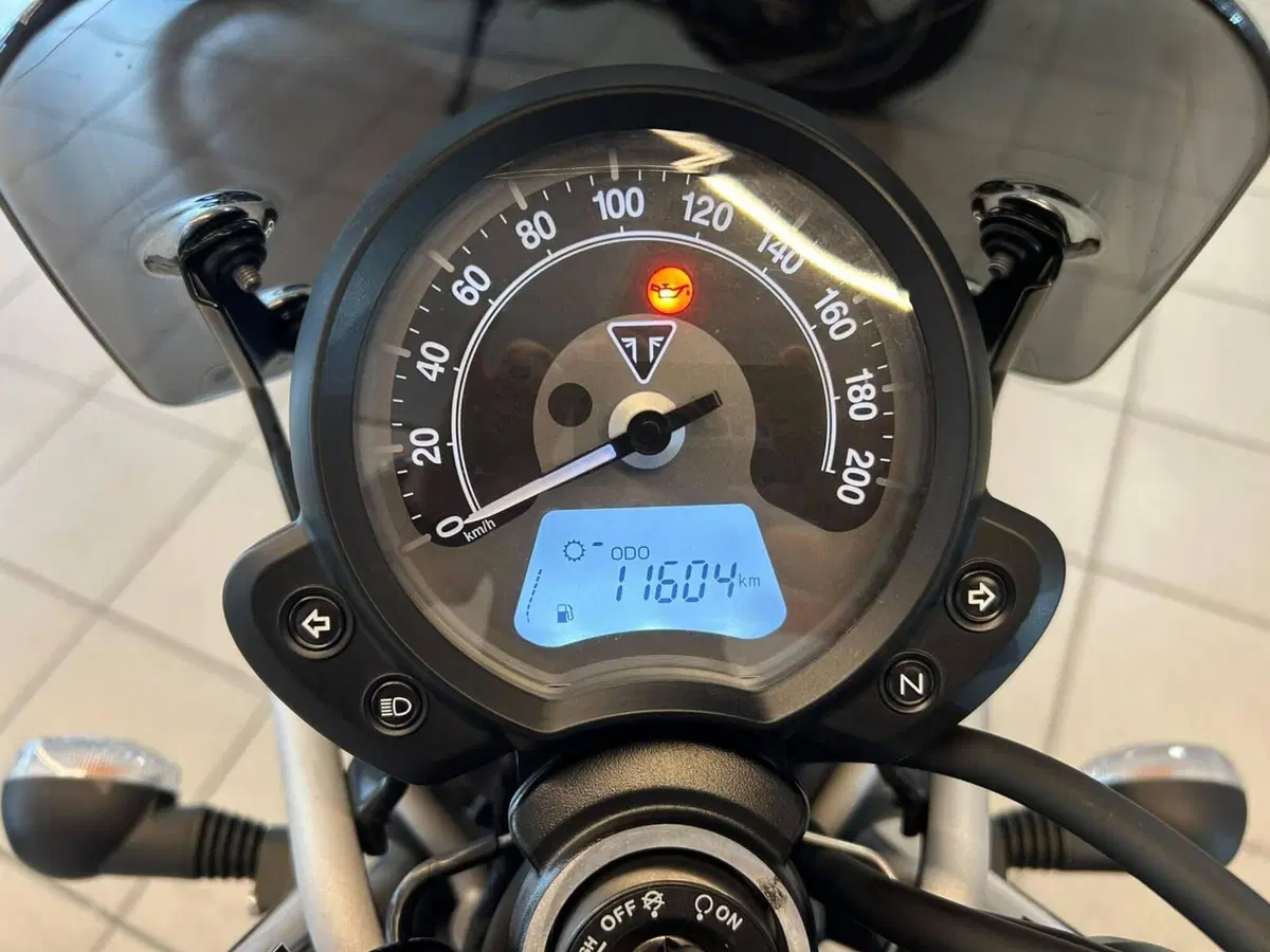 Triumph Street Scrambler 900 (2019 - 20) (4)