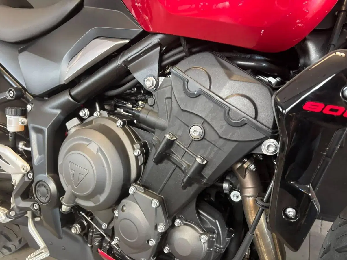 Triumph Trident 800 (2026) (3)