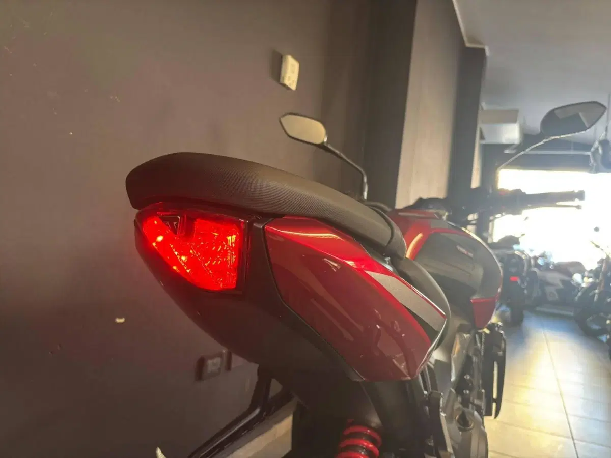 Triumph Trident 800 (2026) (6)