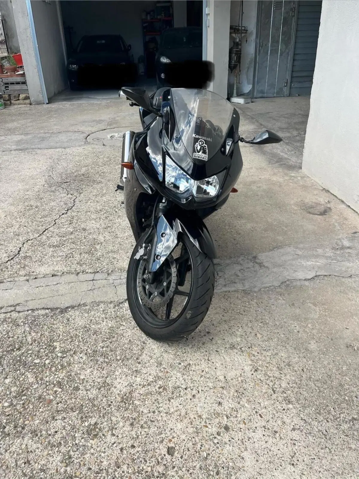 Kawasaki Ninja 250 R (2007 - 13) (4)