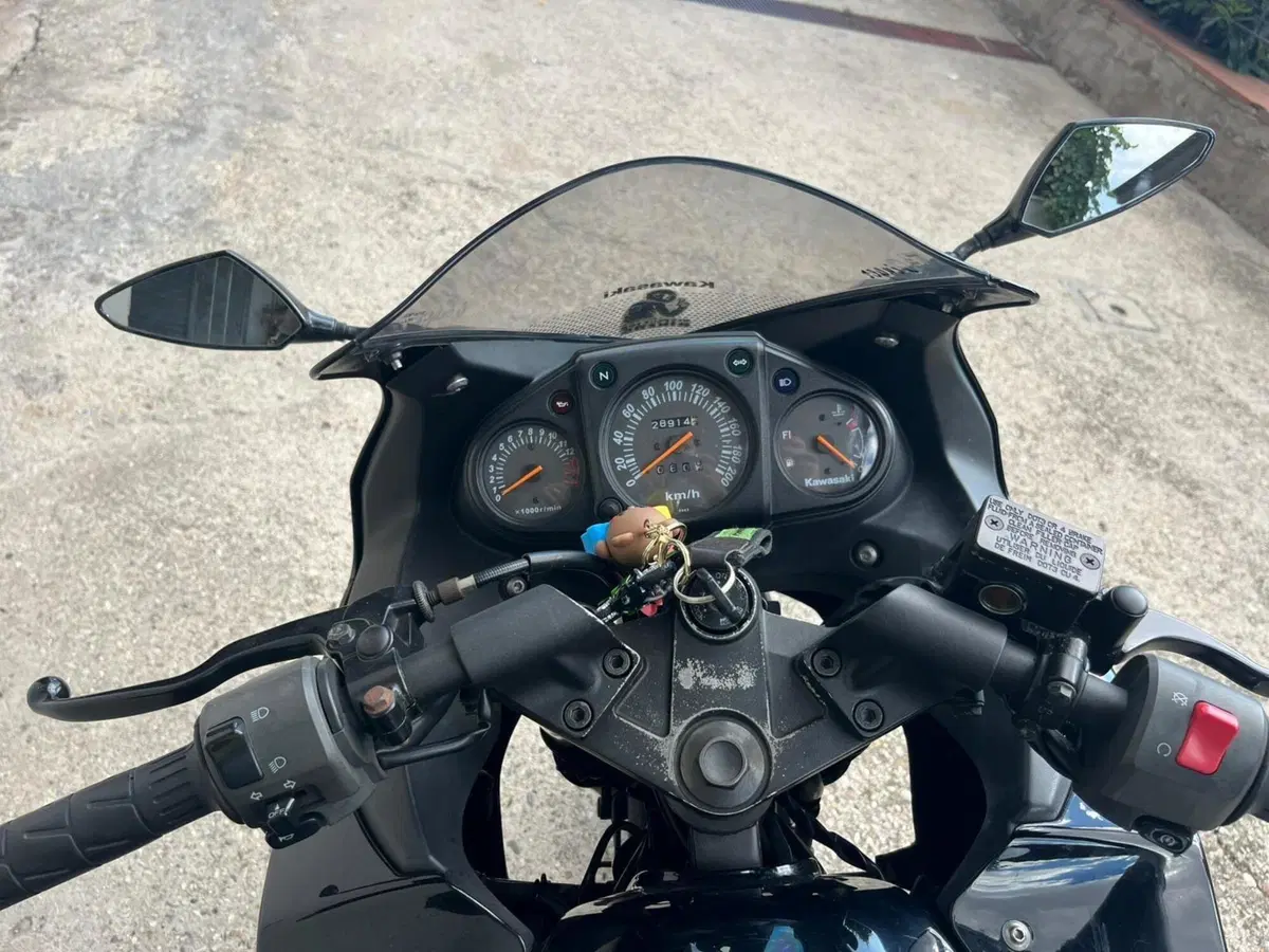 Kawasaki Ninja 250 R (2007 - 13) (5)