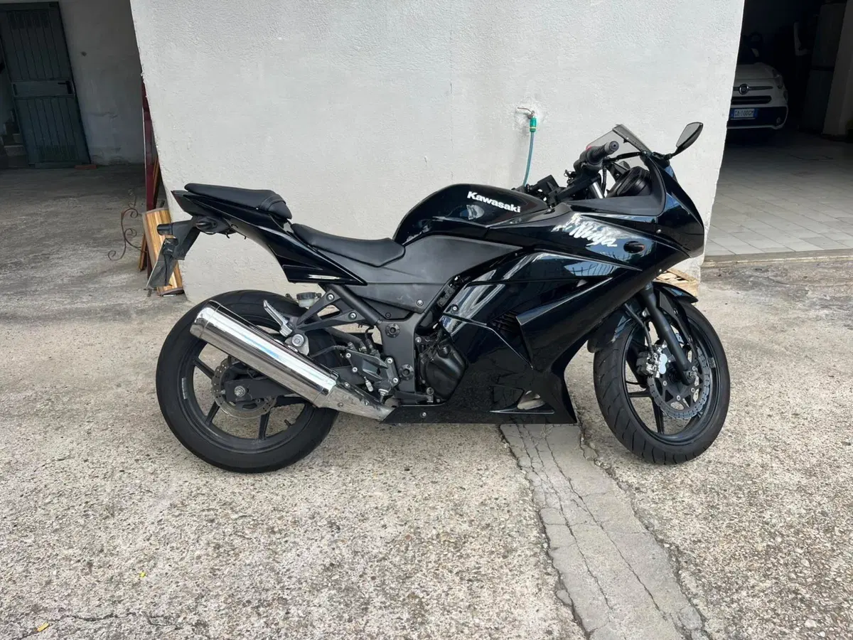 Kawasaki Ninja 250 R (2007 - 13) (7)