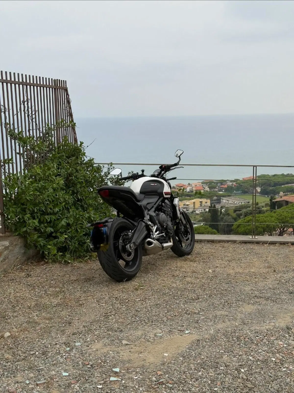 Triumph Trident 660 (2021 - 24) (2)
