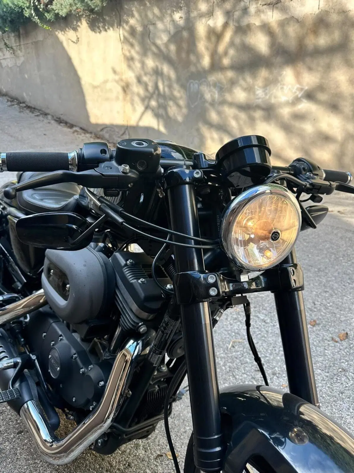 Harley-Davidson 1200 Custom (2017) - XL 1200C (3)