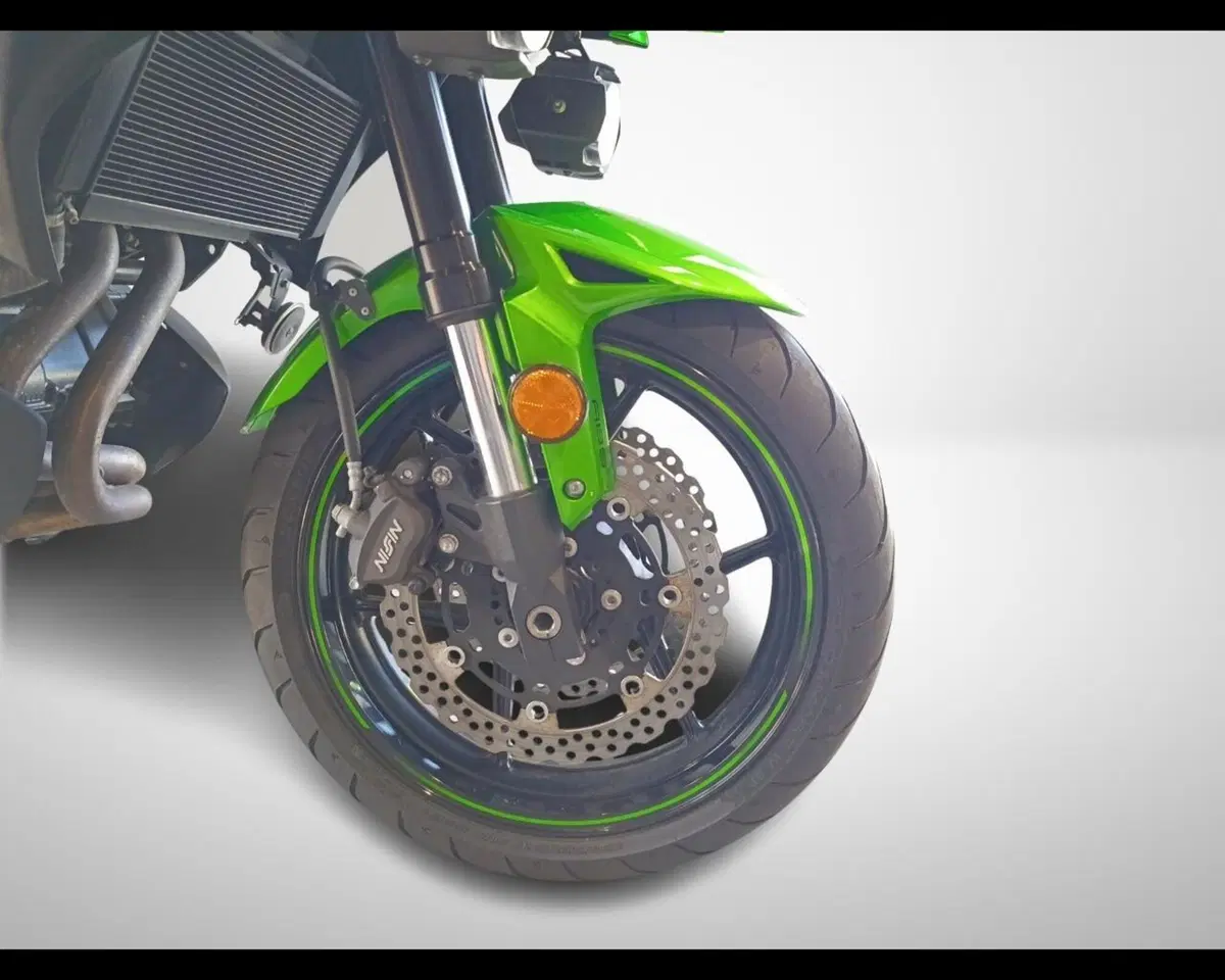 Kawasaki Versys 650 (2017 - 20) (8)