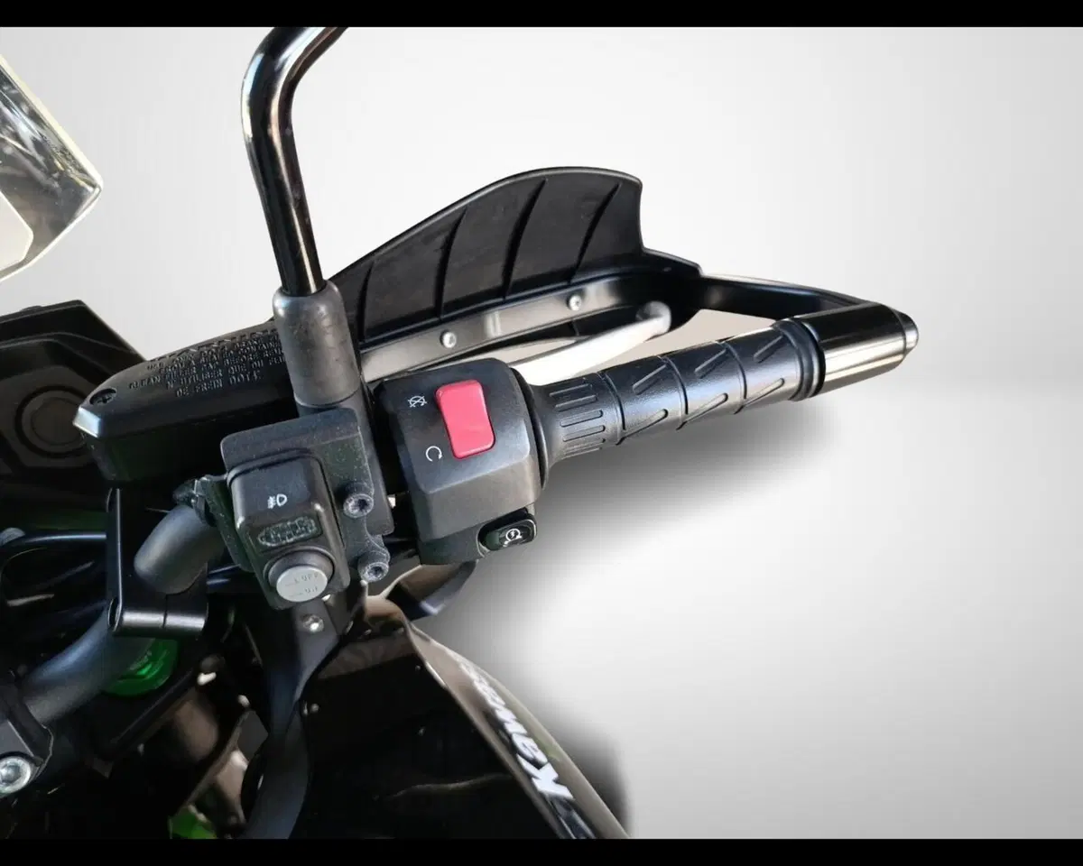 Kawasaki Versys 650 (2017 - 20) (11)