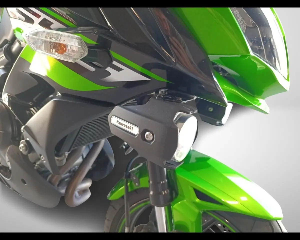Kawasaki Versys 650 (2017 - 20) (12)
