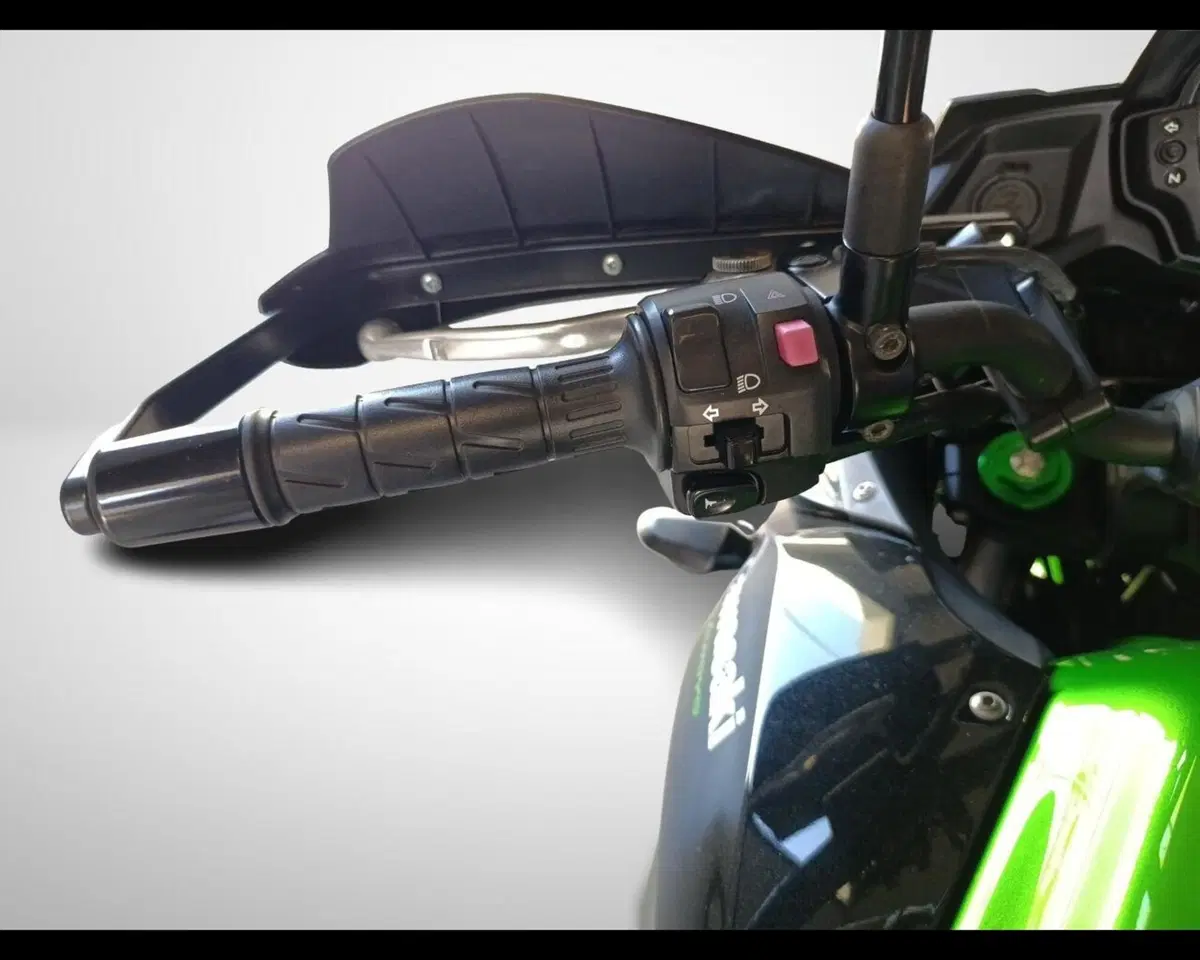 Kawasaki Versys 650 (2017 - 20) (10)