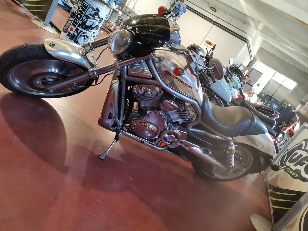 Harley-Davidson 1130 V-Rod (2002 - 05) - VRSCA (2)
