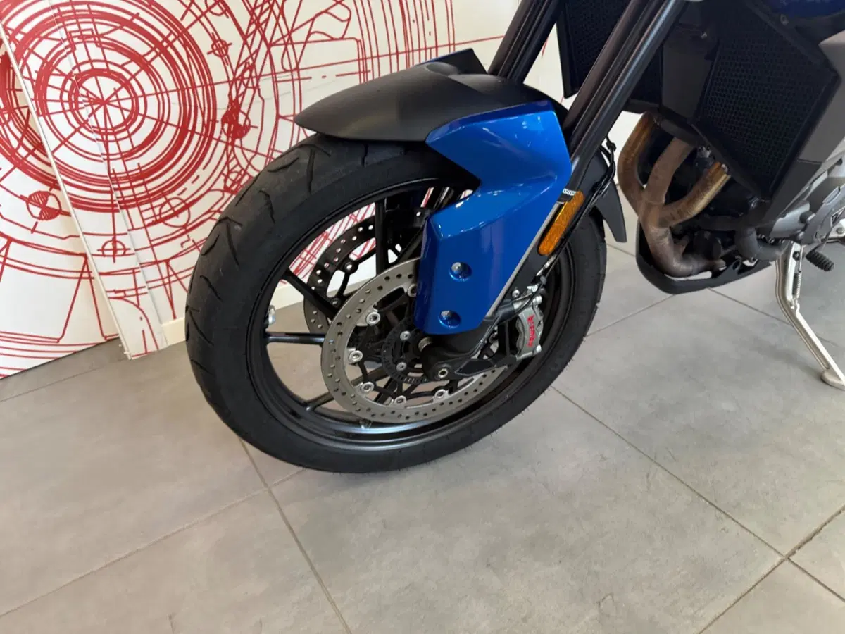 Triumph Tiger 900 GT Pro (2020 - 23) (13)