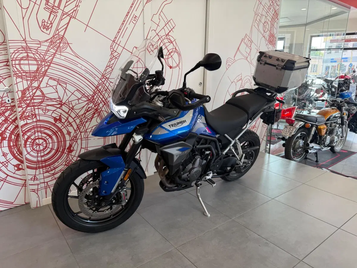 Triumph Tiger 900 GT Pro (2020 - 23) (5)