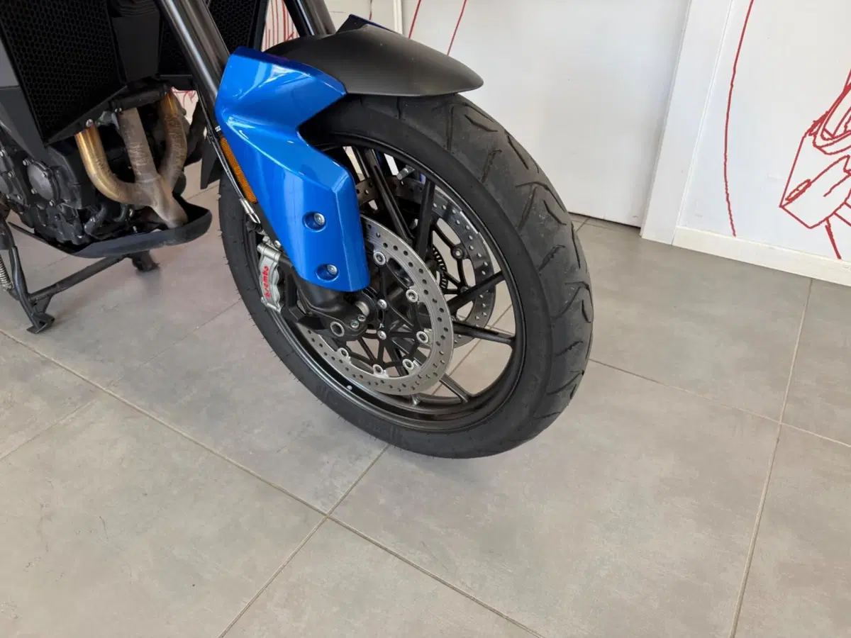 Triumph Tiger 900 GT Pro (2020 - 23) (9)