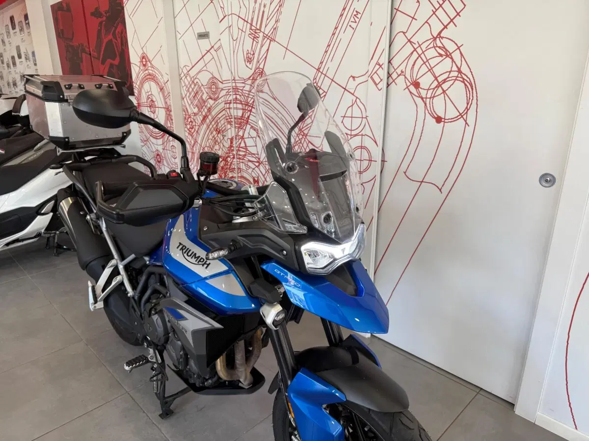 Triumph Tiger 900 GT Pro (2020 - 23) (10)