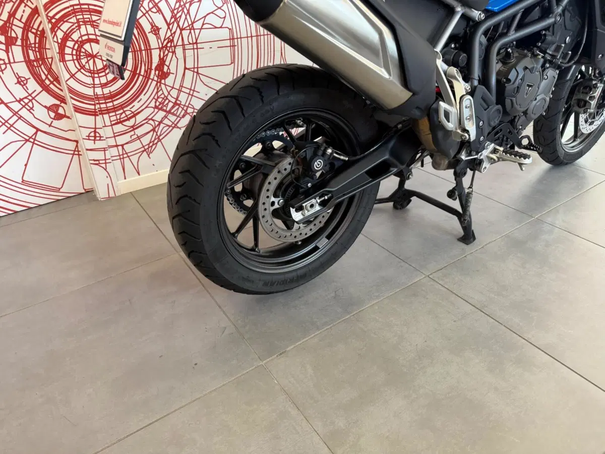 Triumph Tiger 900 GT Pro (2020 - 23) (11)