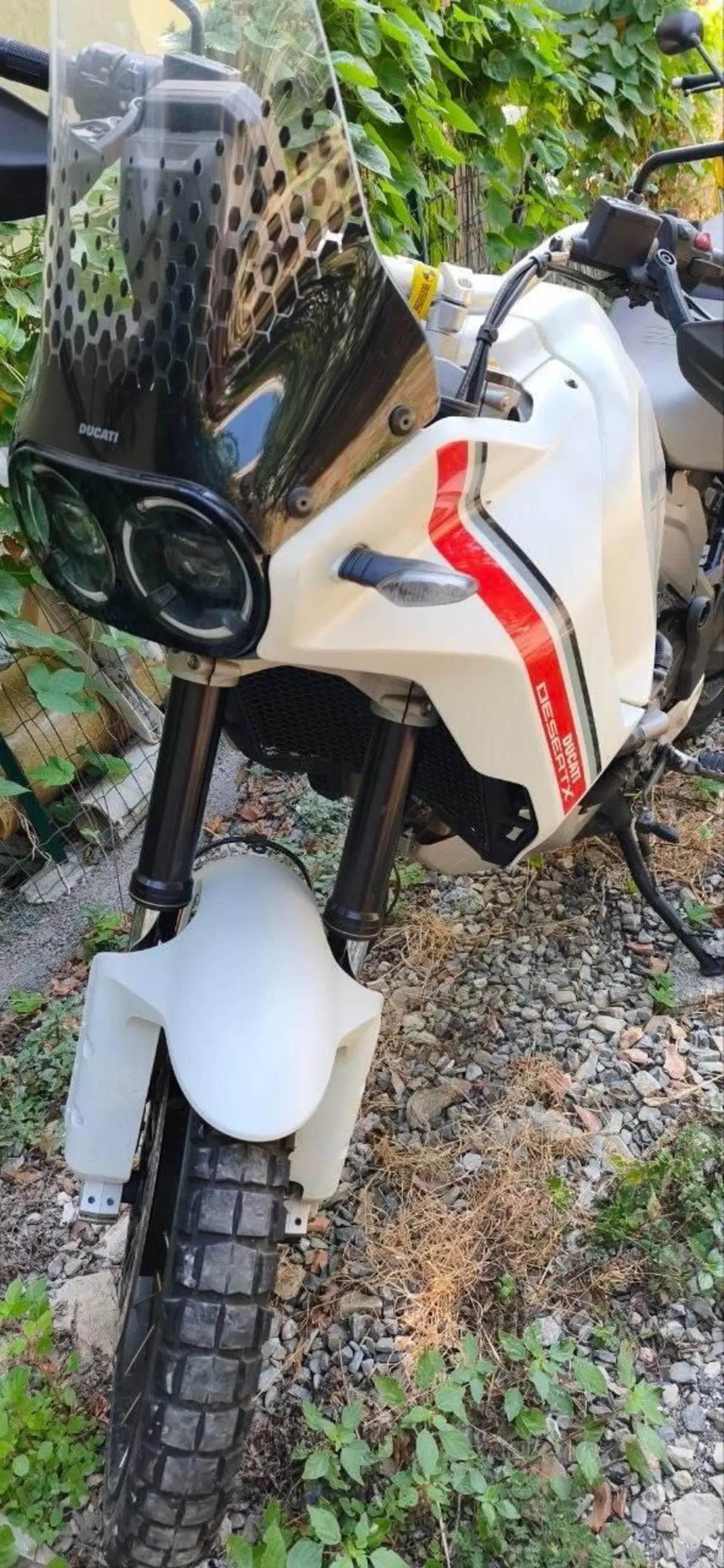 Ducati DesertX (2022 - 25) (3)