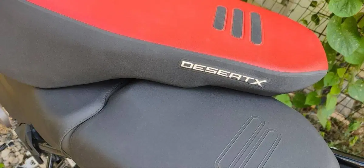 Ducati DesertX (2022 - 25) (19)