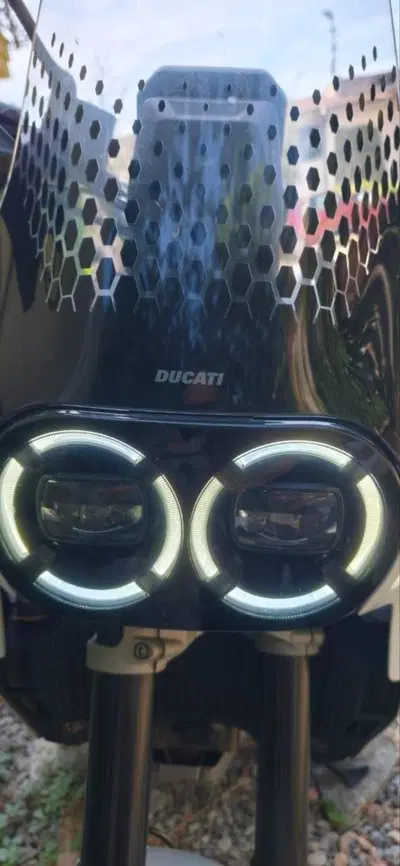 Ducati DesertX (2022 - 25) usata