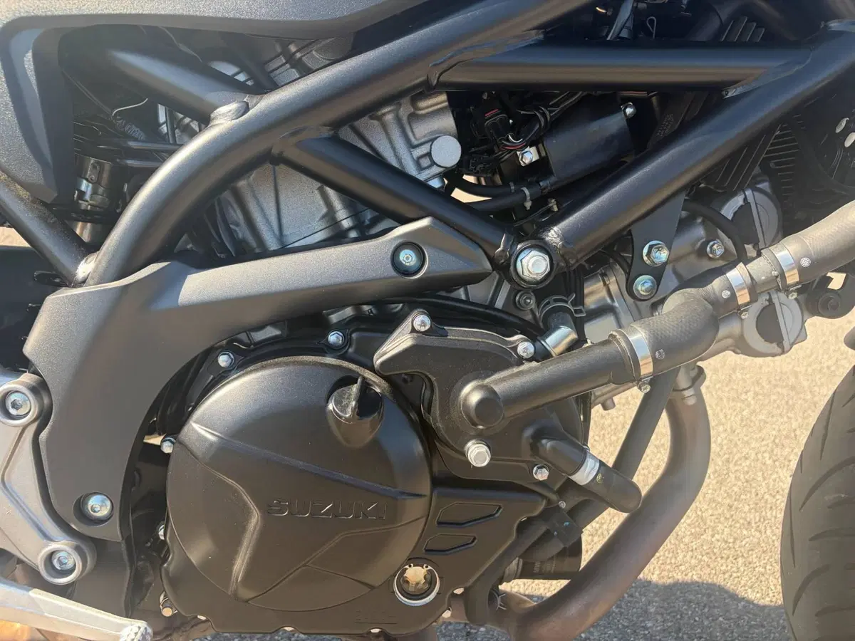 Suzuki SV 650 (2016 - 20) (2)
