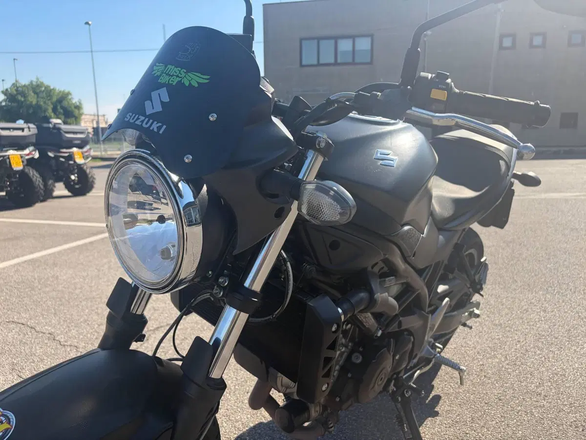 Suzuki SV 650 (2016 - 20) (11)