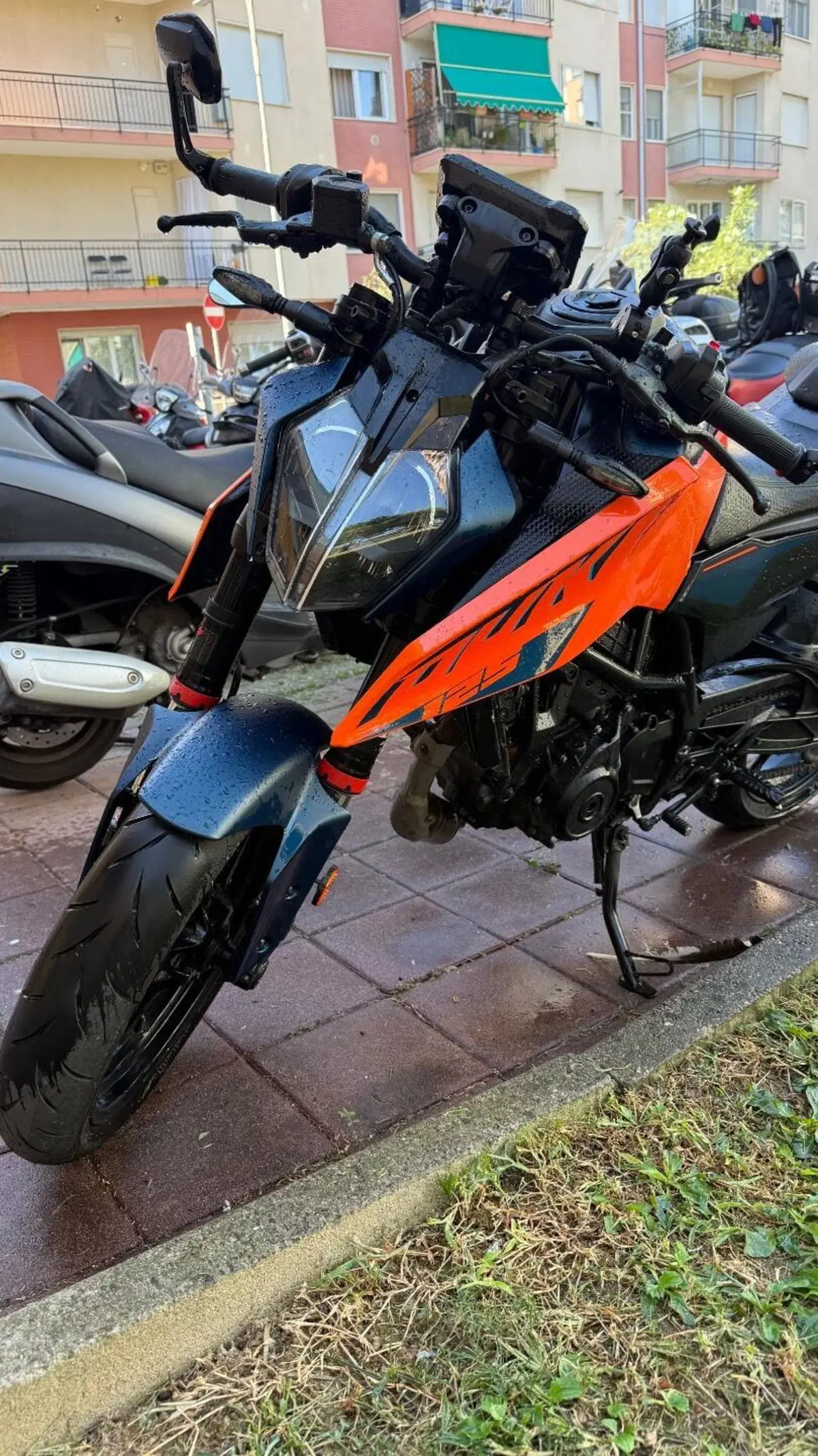 KTM 125 Duke (2024 - 25) (2)