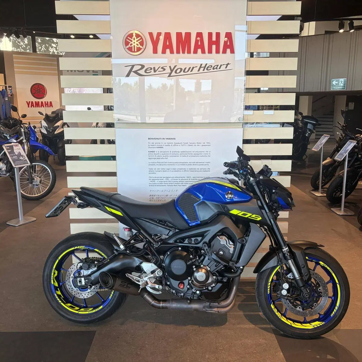 Yamaha MT-09 (2017 - 20)