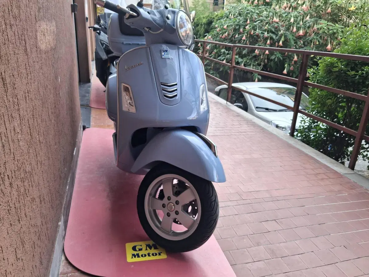Vespa GTS 150 ie (2017 - 19) (2)