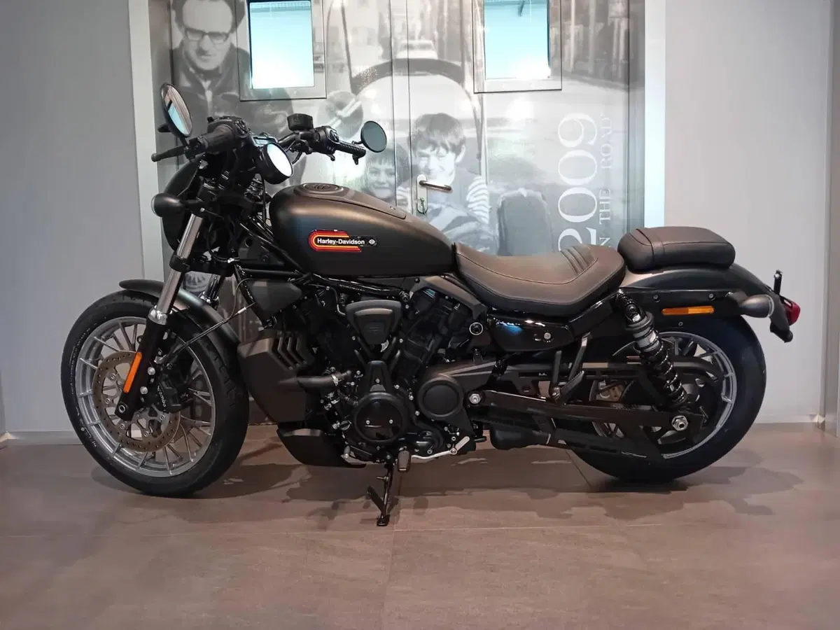 Harley-Davidson Nightster Special (2023 - 26) (2)