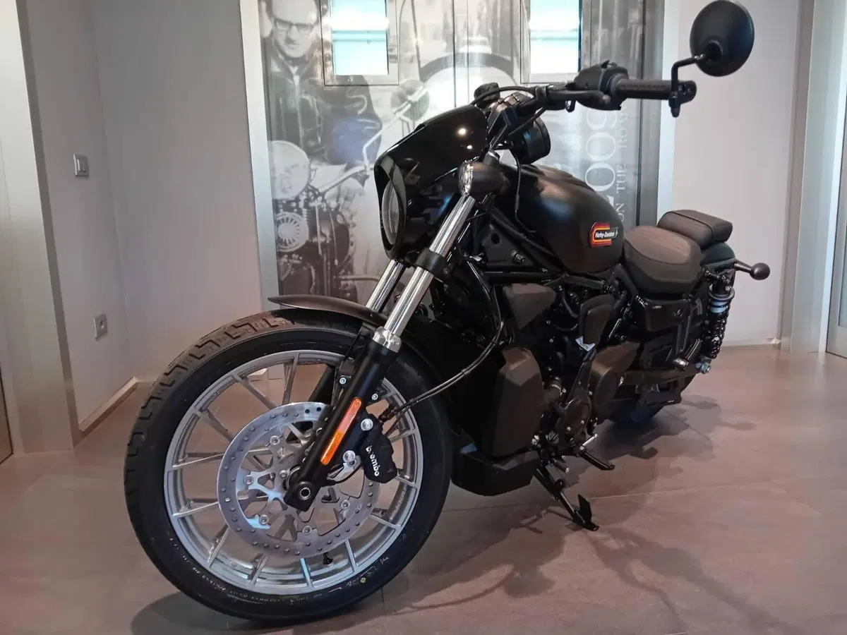 Harley-Davidson Nightster Special (2023 - 26) (4)