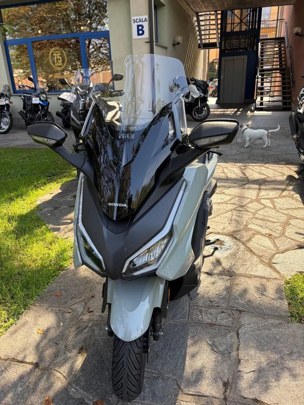 Honda Forza 350 (2025 - 26) (3)
