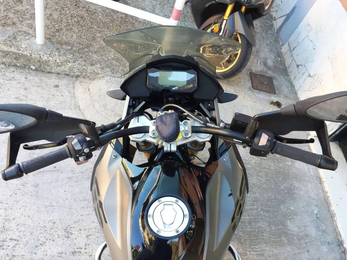 Bmw G 310 GS (2017 - 20) (10)