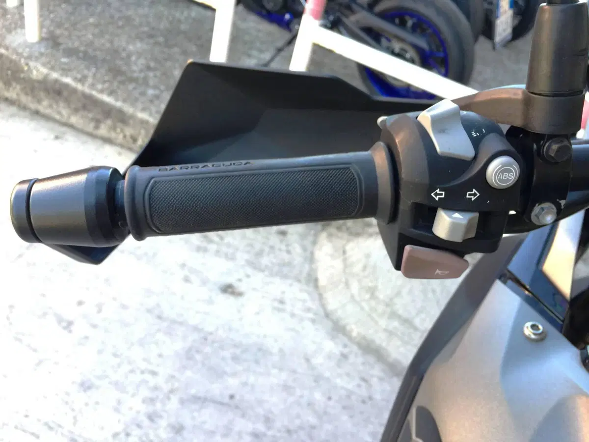 Bmw G 310 GS (2017 - 20) (12)