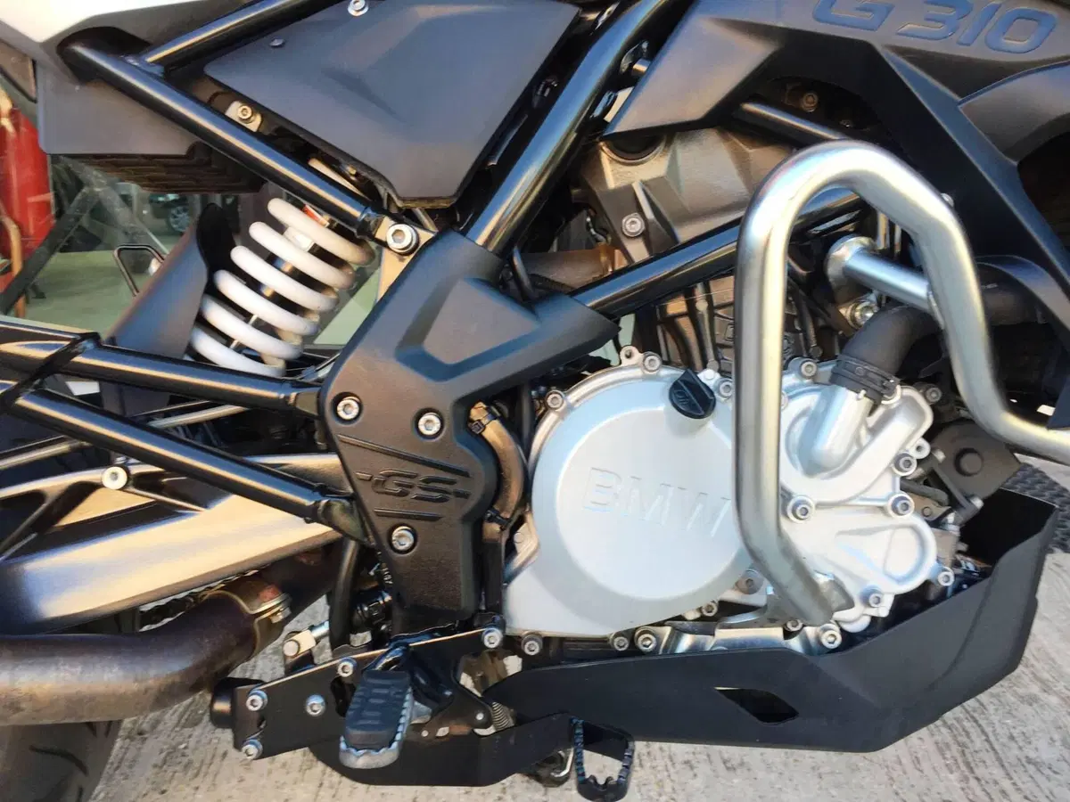 Bmw G 310 GS (2017 - 20) (15)