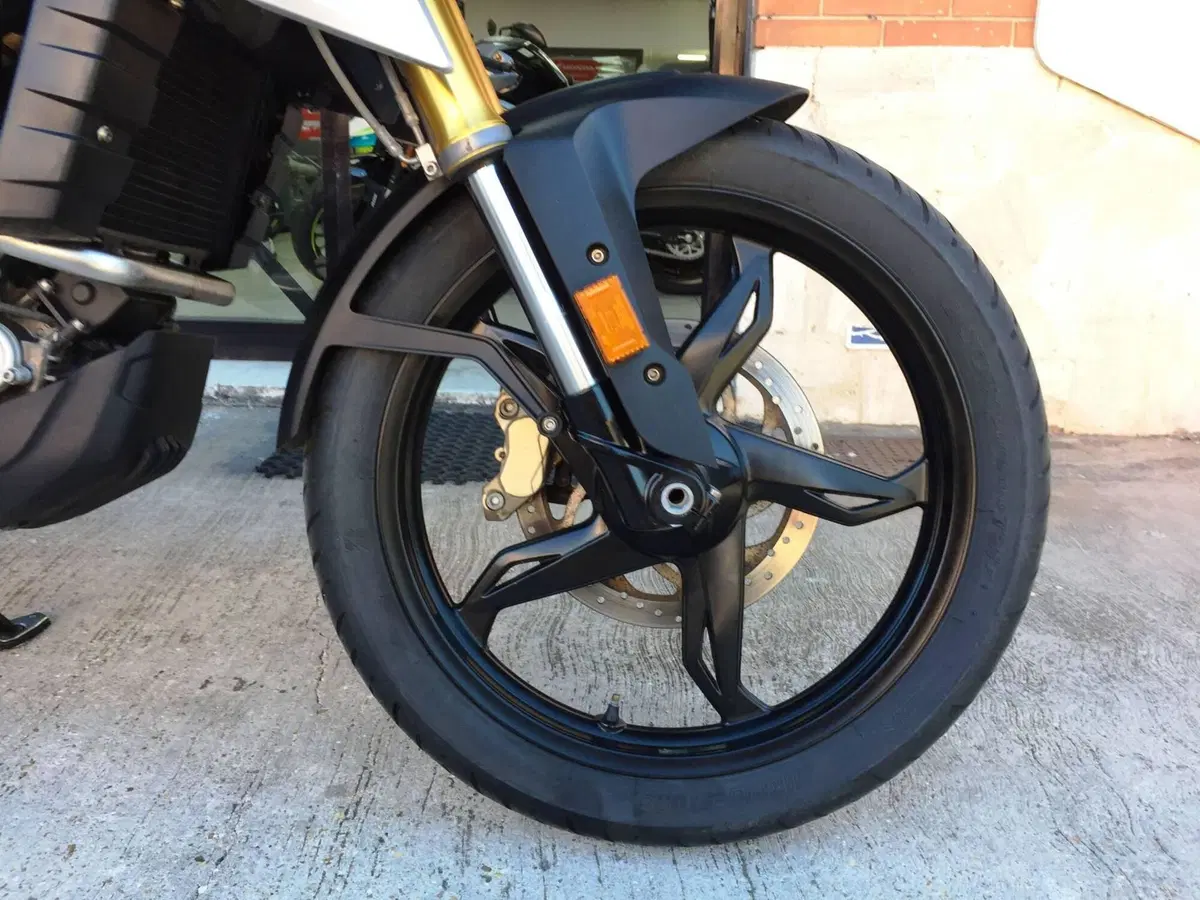 Bmw G 310 GS (2017 - 20) (16)