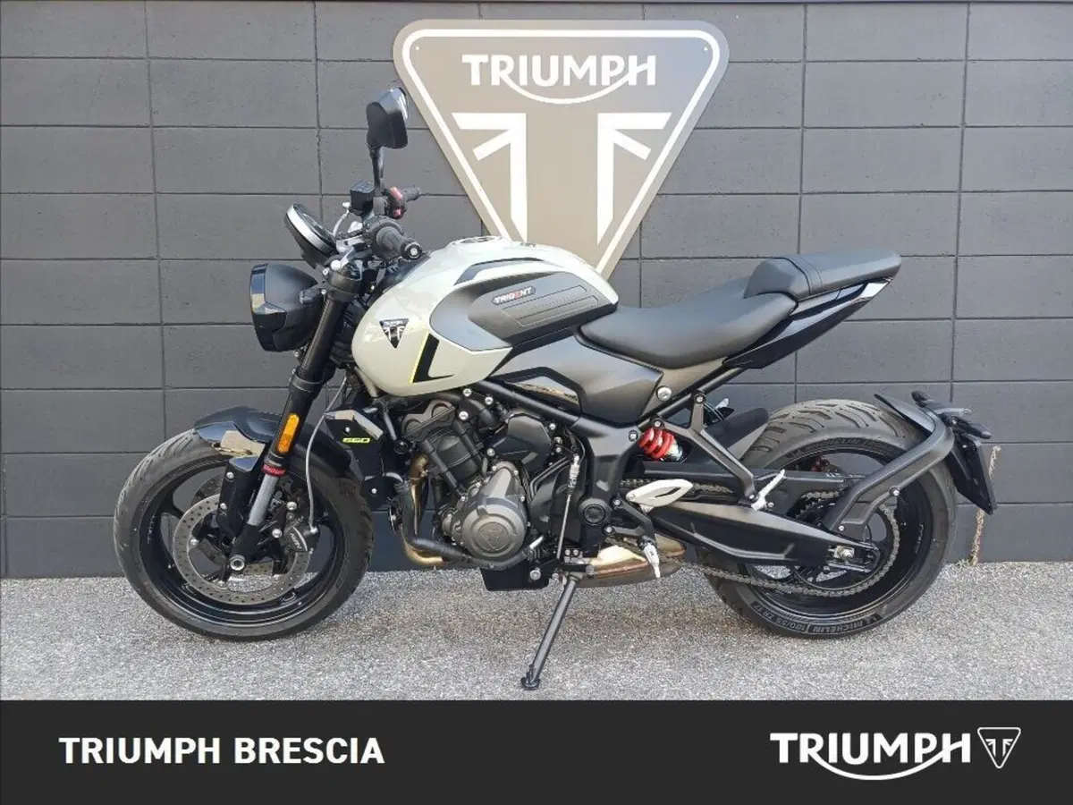Triumph Trident 660 (2026) (8)